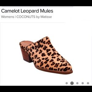 Matisse Camelot cheetah print mules